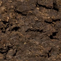 Rock_rough_01_256px.png