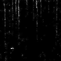 grunge_leaks_2x1_grunge_leaks_light-abstract-architecture-wood-white-house-1175793-pxhere.com.png