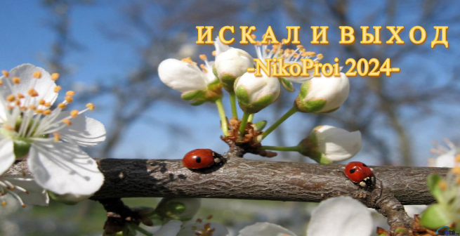 отцентрированное изображение