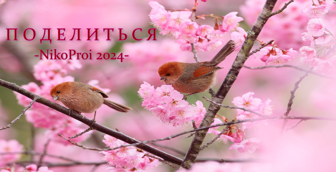 отцентрированное изображение