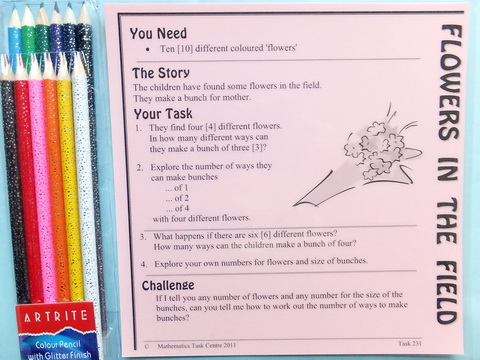 Flowers in the Field