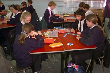 Eric The Sheep Experiments