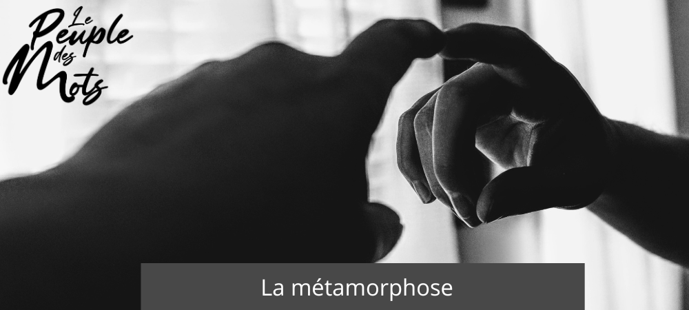 La métamorphose