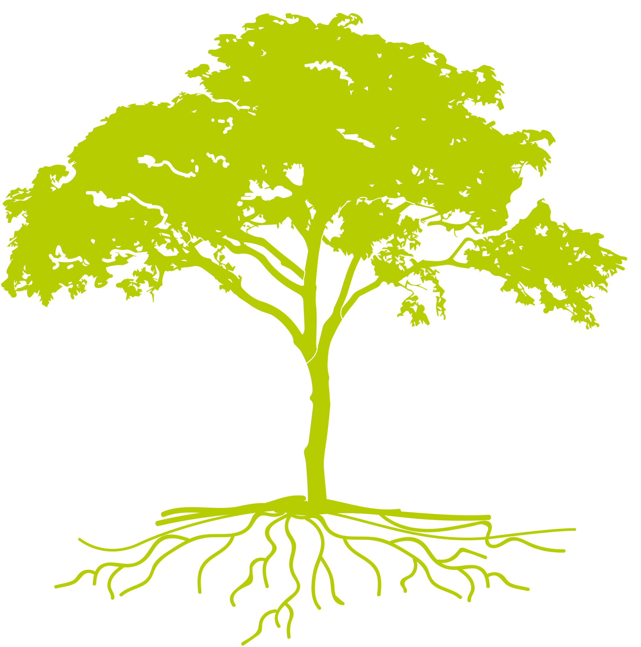 Avatar de paciorange@gmail.com