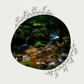 Avatar de Plume en suspens