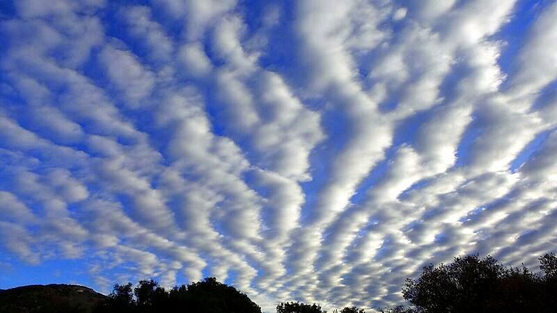 Avatar de Conteur bleu