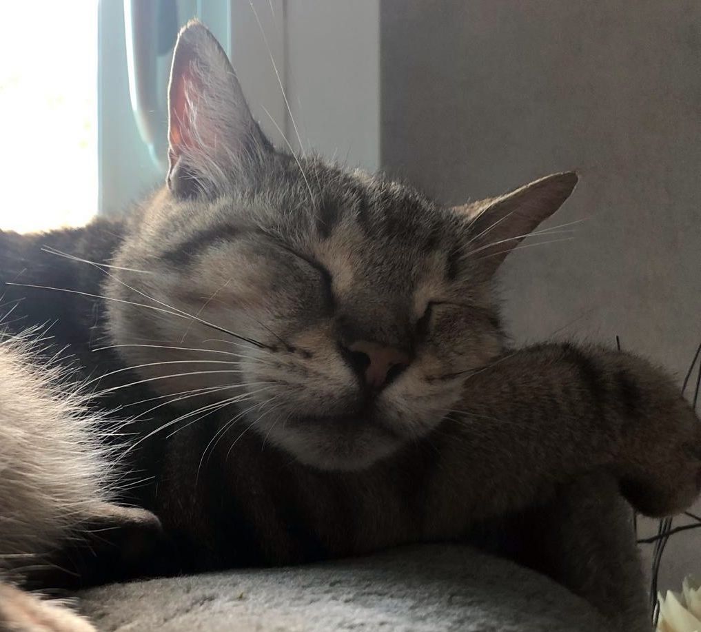 Avatar de CHRISTINE 79