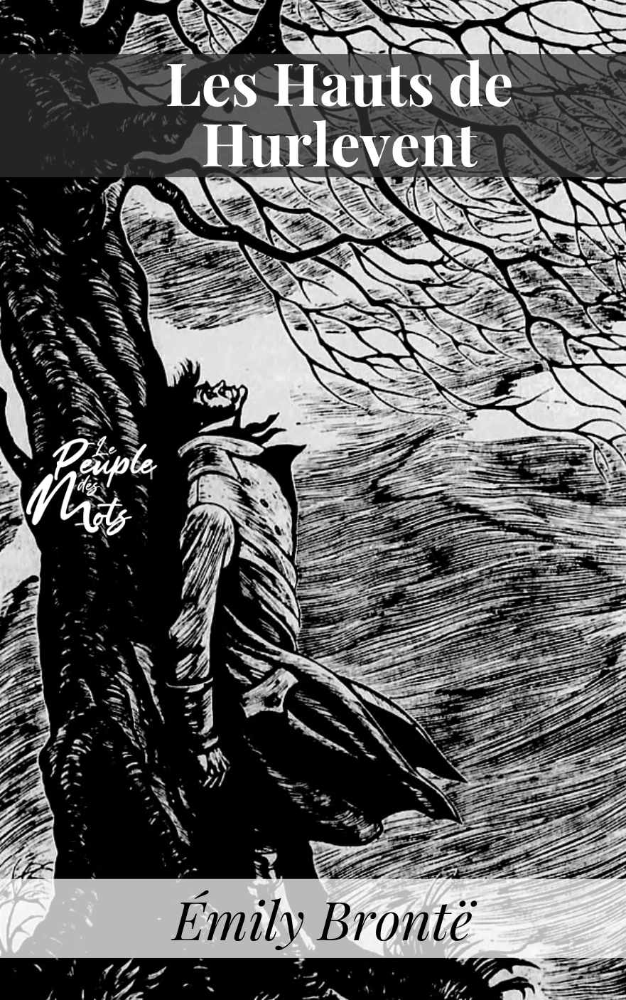 Les Hauts de Hurlevent, d’Émily Brontë