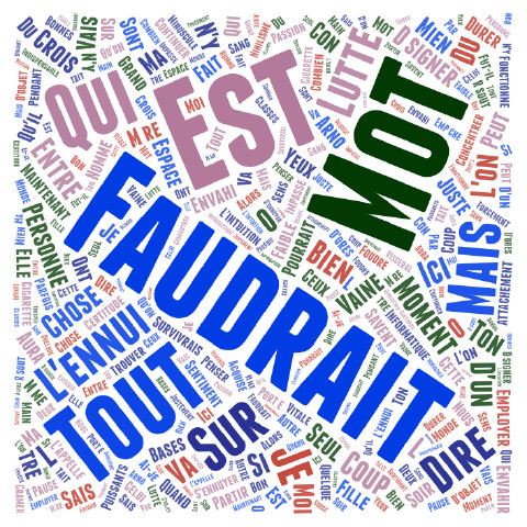Les mots qui me manquent