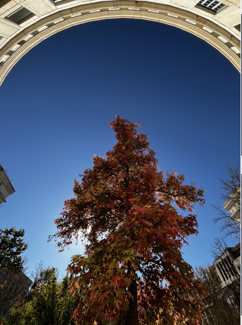 Lettre d’automne
