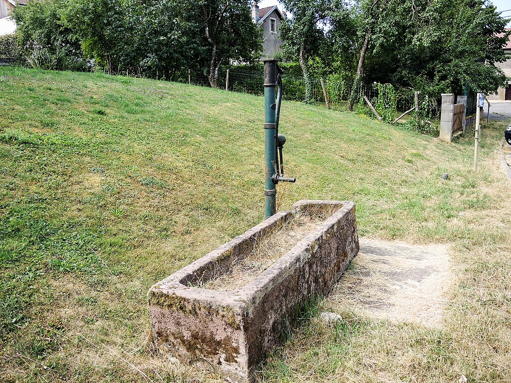 J'ai tué le chien de ma mère