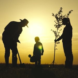 Mémoire transgénérationnelle