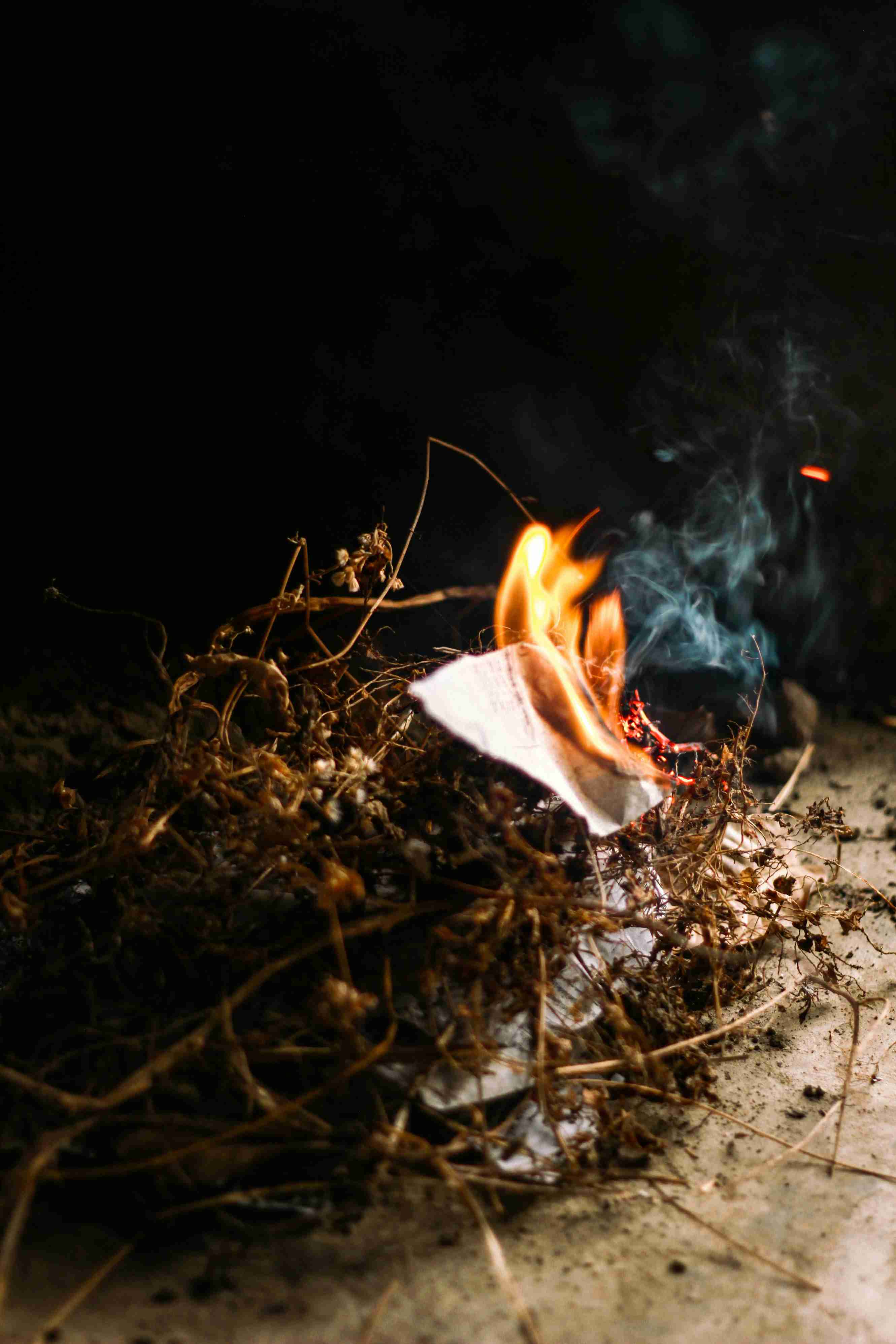 Le désir de destruction : caractéristique innée ou construction sociale ?