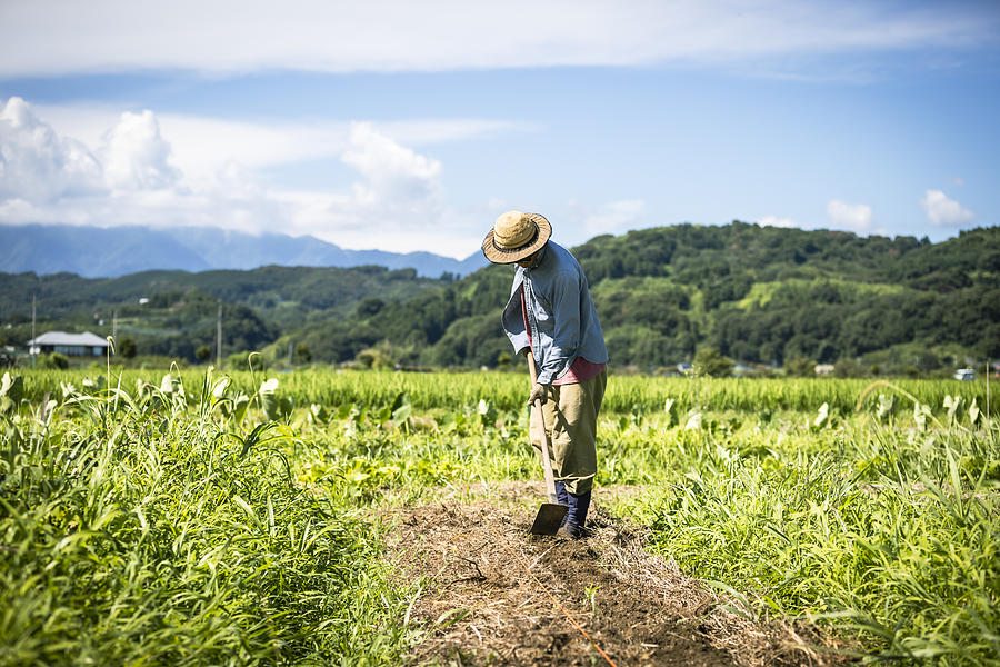 Je m'use à penser, à labourer mes idées