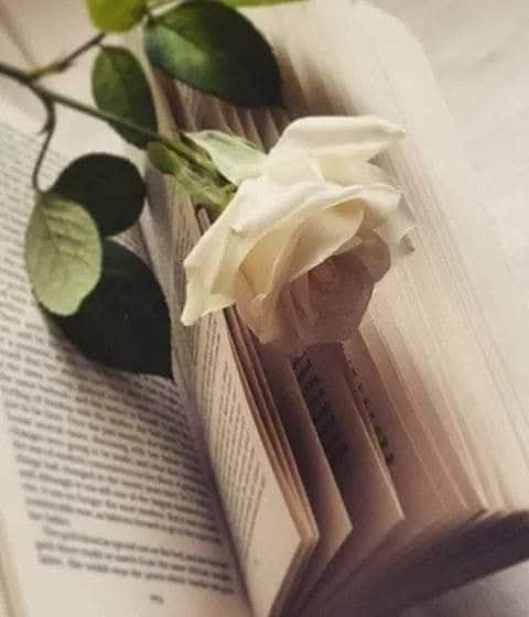 Rapt à la supérette (extrait)