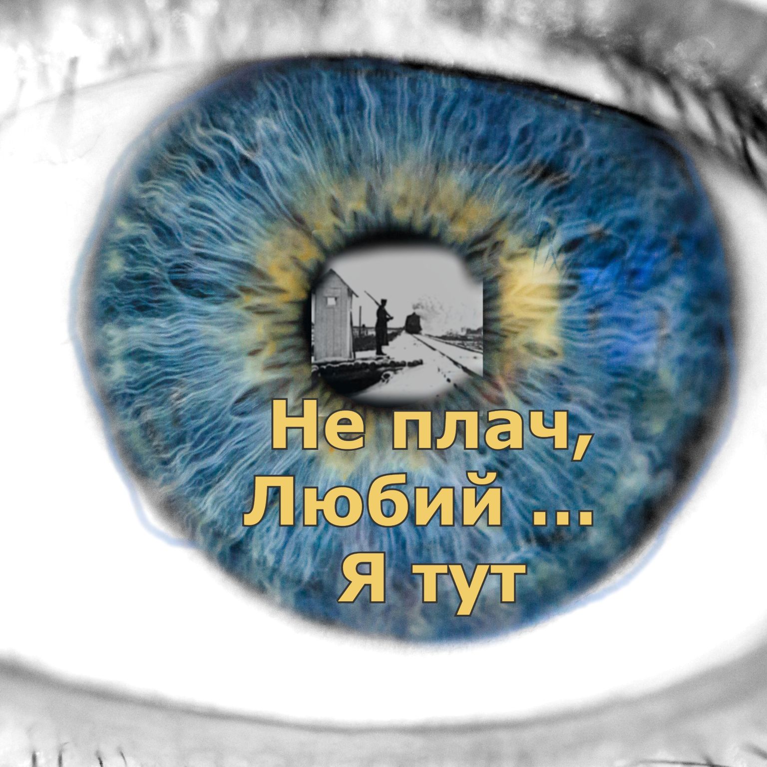 Mon village, leur camp