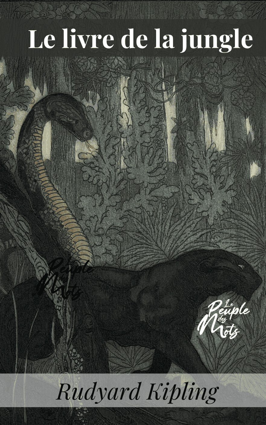 "Le livre de la jungle" de Rudyard Kipling