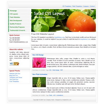 tm-008-salad.jpg