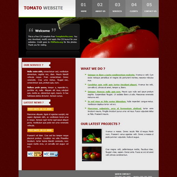 tm-033-tomato.jpg