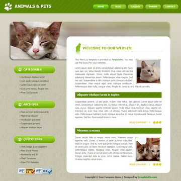tm-034-pets.jpg