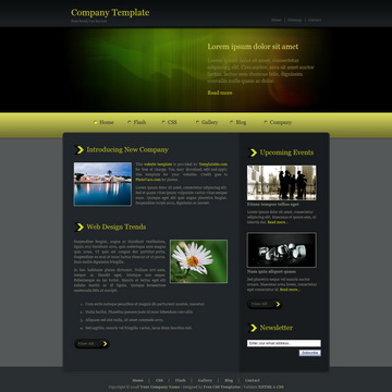 tm-191-company-yellow.jpg