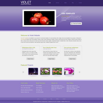 tm-261-violet.jpg