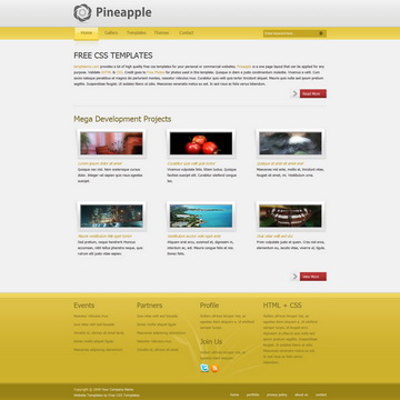 tm-269-pineapple.jpg