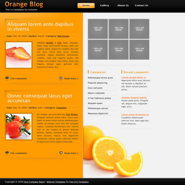 tm-274-orange.jpg