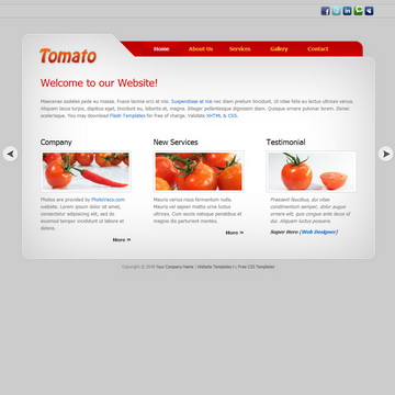 tm-283-tomato.jpg