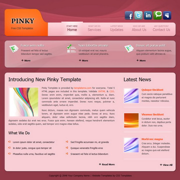 tm-285-pinky.jpg