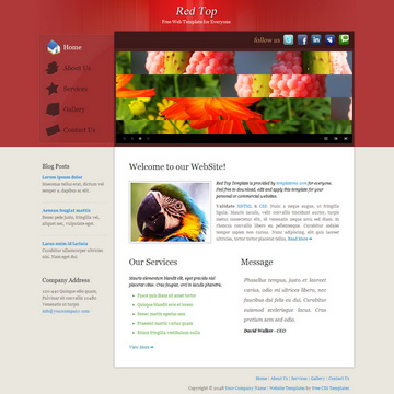 tm-292-red-top.jpg