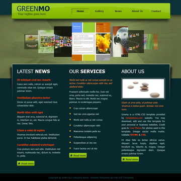 tm-300-greeny.jpg