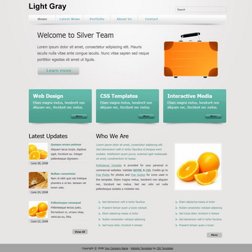 tm-304-light-gray.jpg