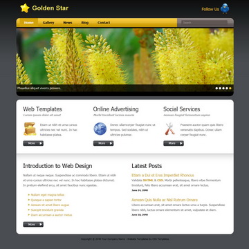 tm-305-golden-star.jpg