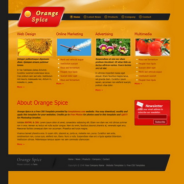 tm-308-orange-spice.jpg