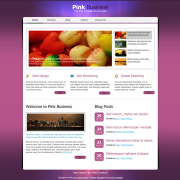 tm-311-pink-business.jpg