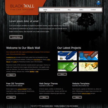 tm-335-black-wall.jpg