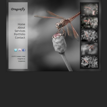 tm-378-dragonfly.jpg