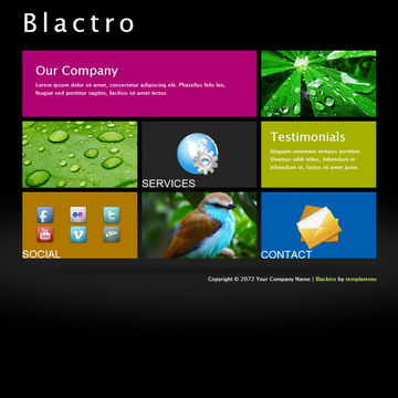 tm-381-blactro.jpg