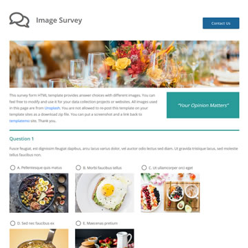 tm-523-image-survey.jpg