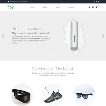 tm-559-zay-shop.jpg