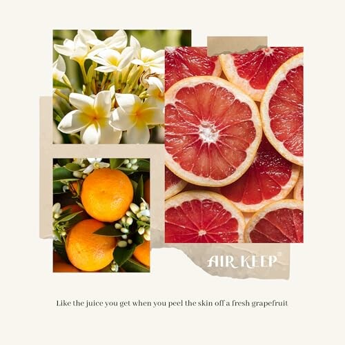 Collage aus Zitrusfrüchten und Blumen