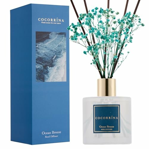 Cocorrina Ocean Breeze Duftdiffusor mit Verpackung