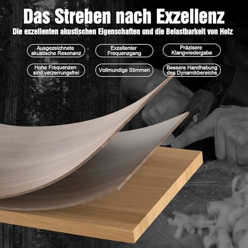 Holzexzellenz und akustische Eigenschaften