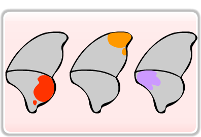 3 alas de mariposa con colores, rojo, naranja y morado