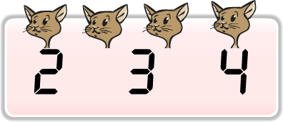 4 gatos