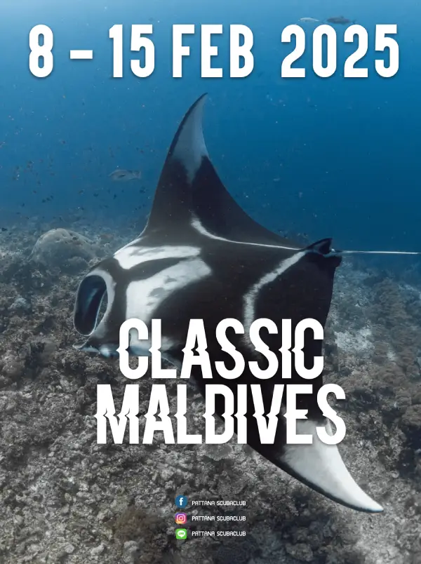 Maldives Classic 