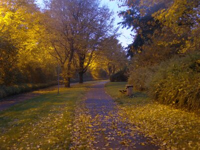 20101031-184214-PA3110039