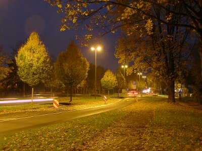 20101031-184926-PA3110041