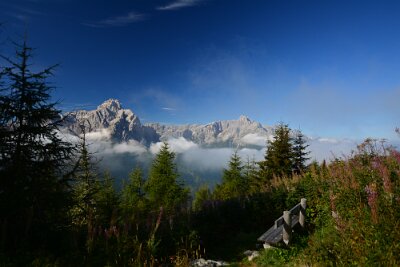 20160923-095605-DSC_0338